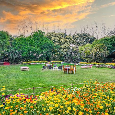 Citrus County, Hoshiarpur, Ama Stays & Trails Екстериор снимка