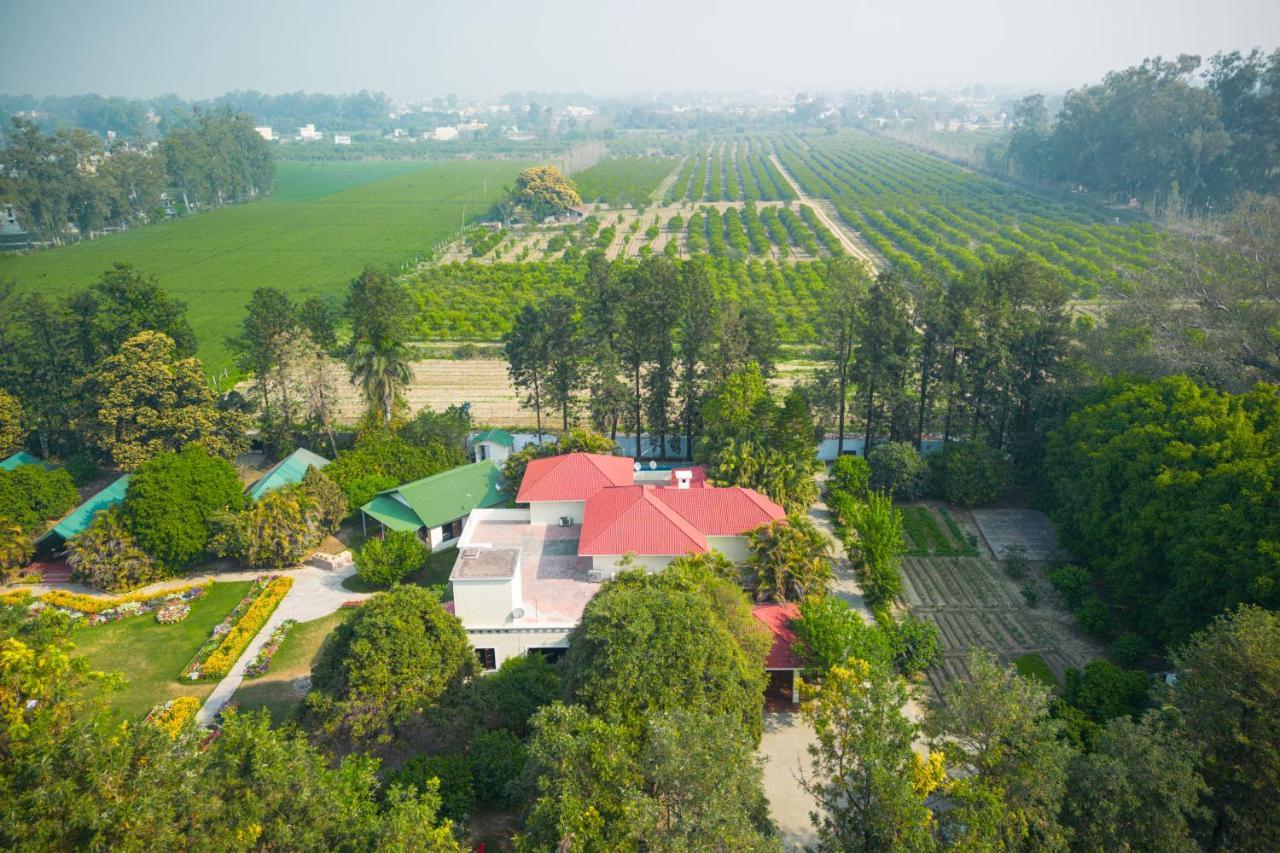 Citrus County, Hoshiarpur, Ama Stays & Trails Екстериор снимка