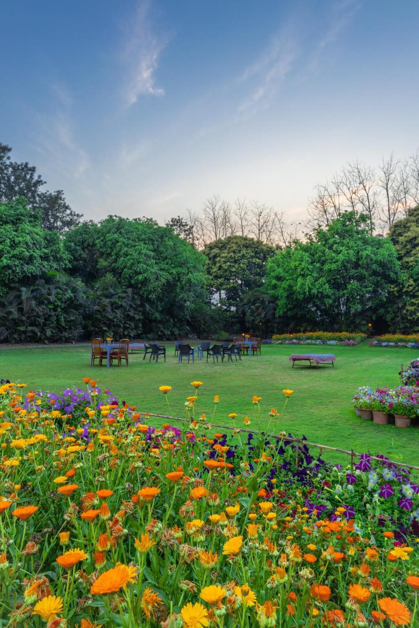 Citrus County, Hoshiarpur, Ama Stays & Trails Екстериор снимка
