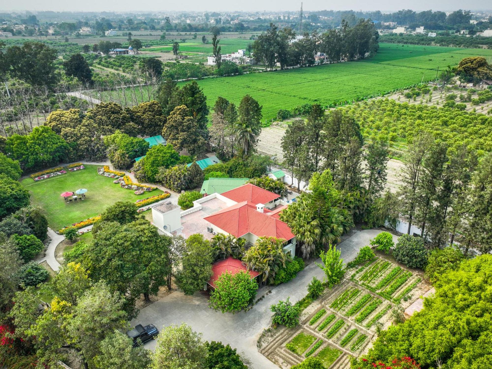 Citrus County, Hoshiarpur, Ama Stays & Trails Екстериор снимка