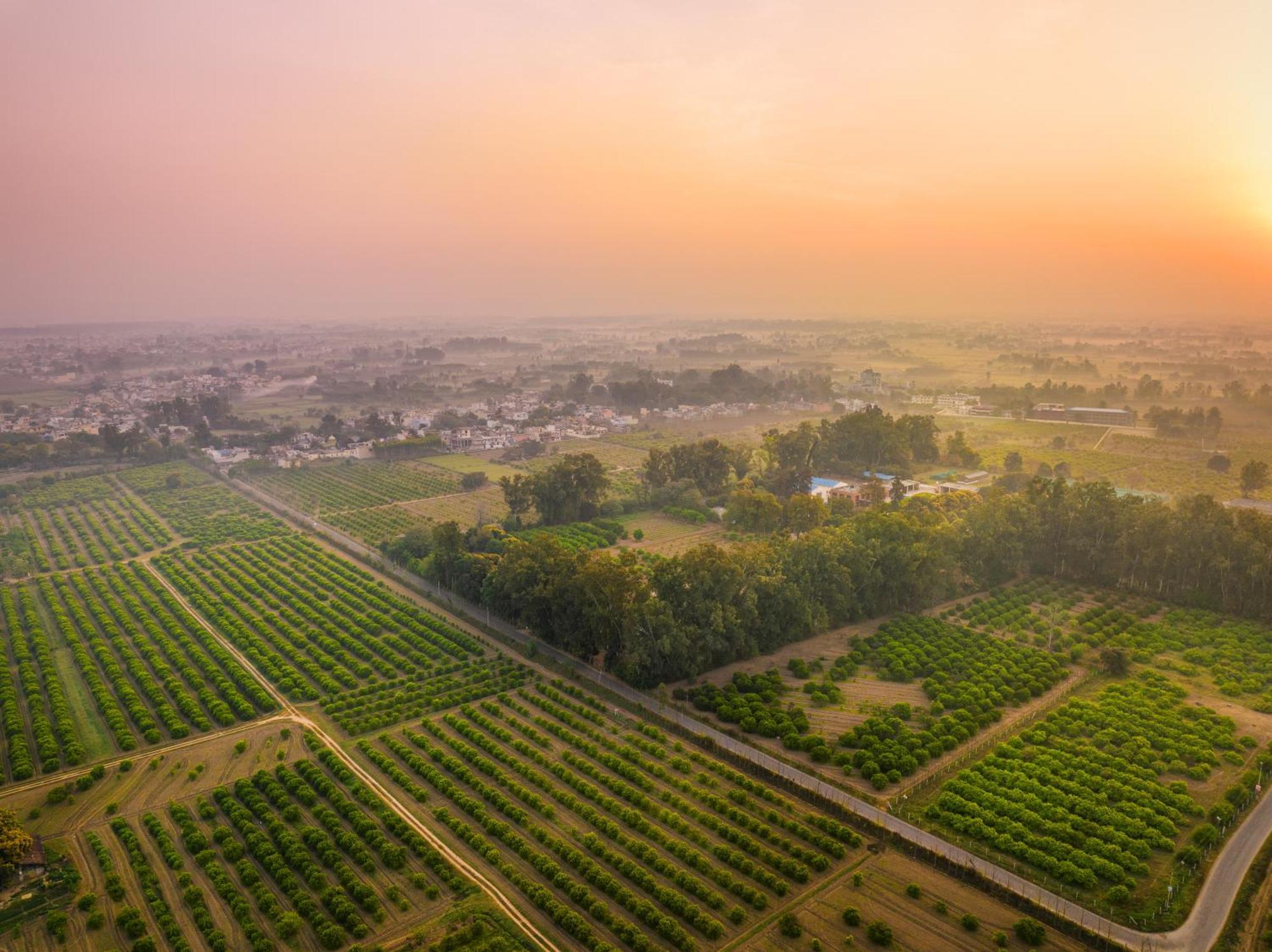 Citrus County, Hoshiarpur, Ama Stays & Trails Екстериор снимка